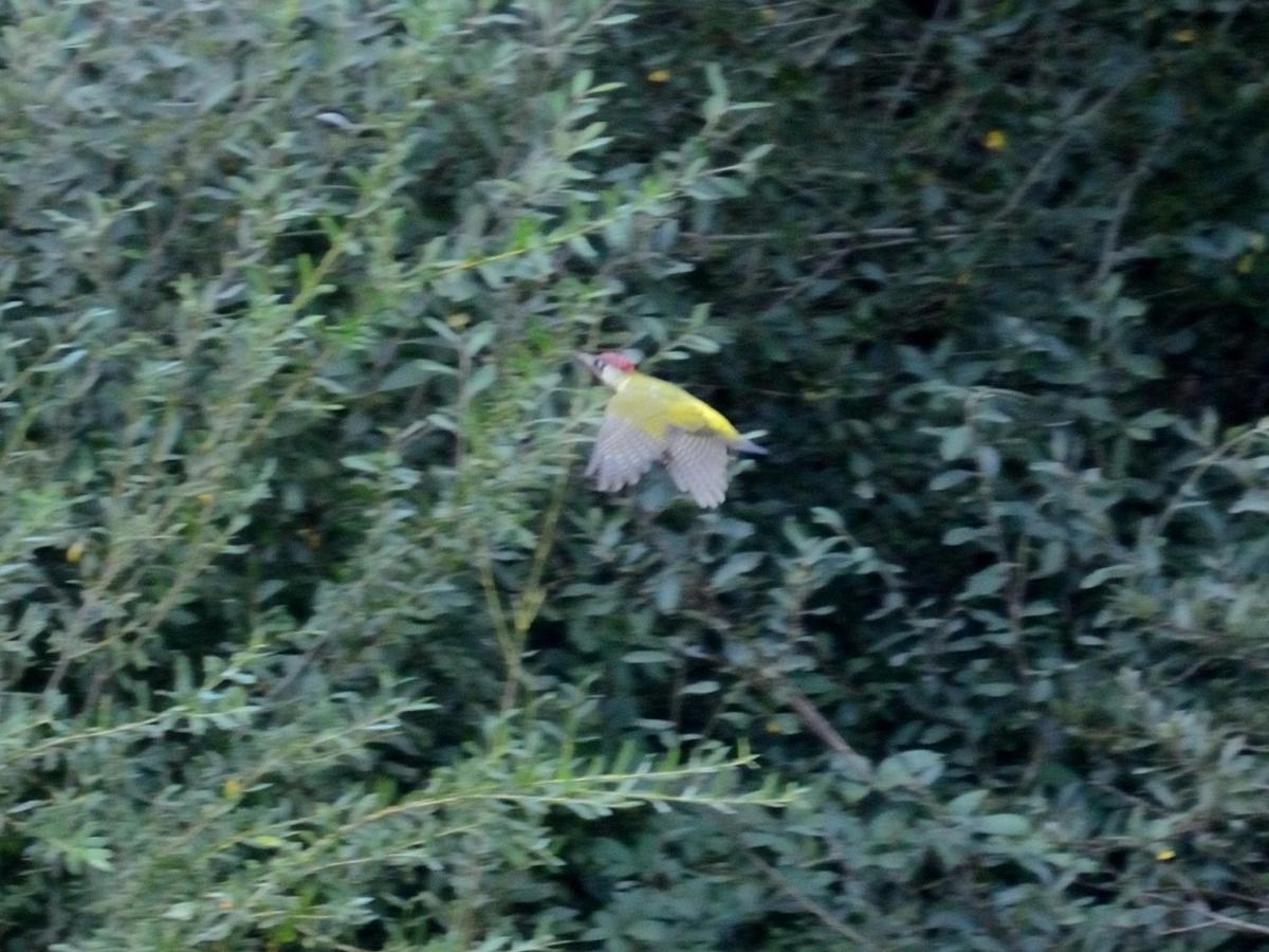 فيلا Les Cygnes Au Bord Du Loing Montigny-sur-Loing المظهر الخارجي الصورة