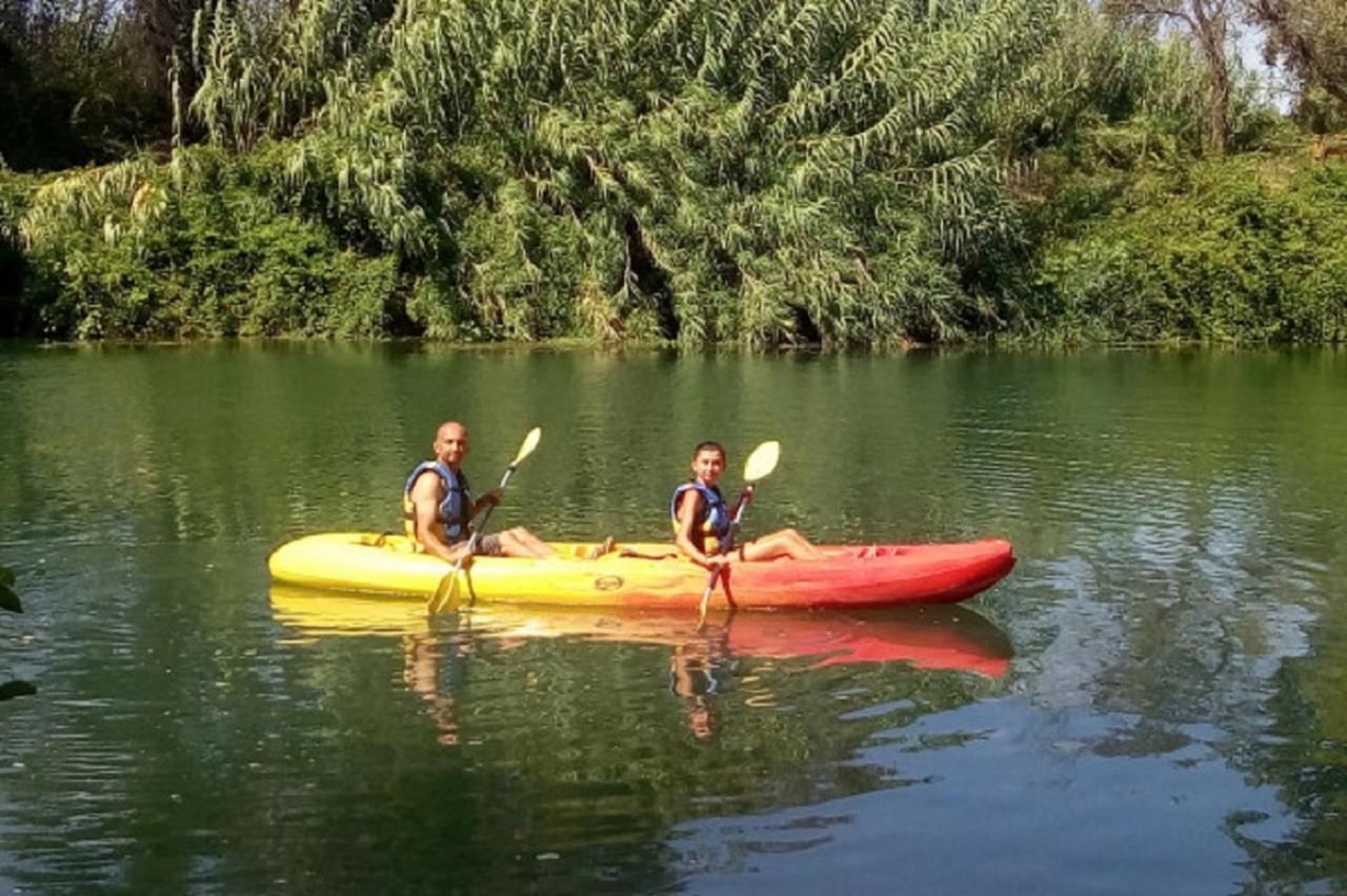فيلا Les Cygnes Au Bord Du Loing Montigny-sur-Loing المظهر الخارجي الصورة